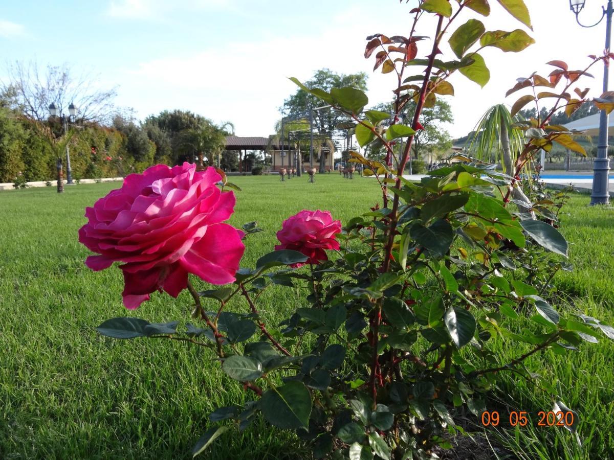 Agriturismo Fieri Botricello Exterior foto